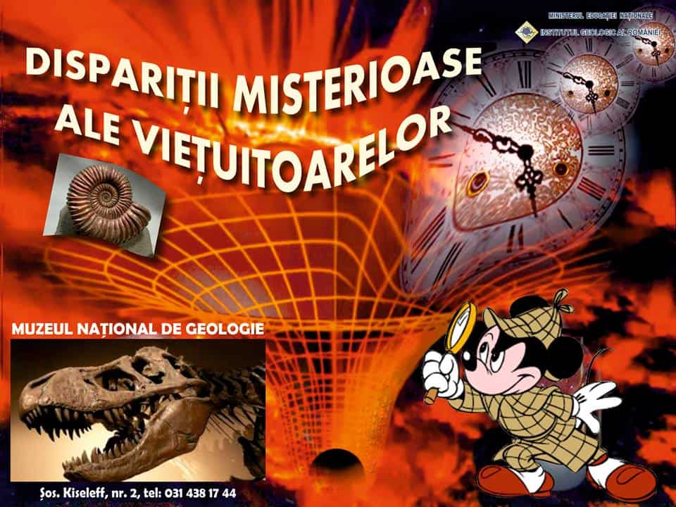 14492541_1102338259802239_3673285697663855621_n
