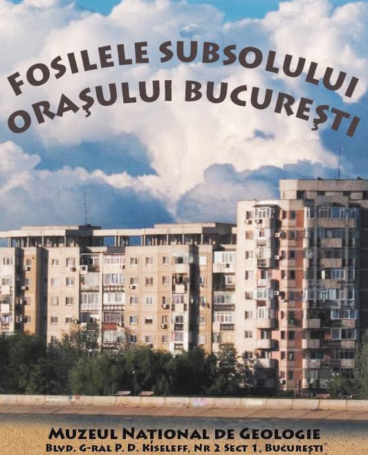 Fosilele Orasului Bucuresti
